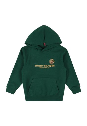 TOMMY HILFIGER Felpa  verde scuro / colori misti