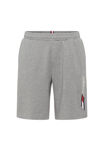 TOMMY HILFIGER Pantaloni  navy / grigio / rosso / bianco