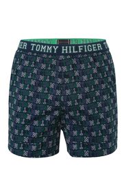 Tommy Hilfiger Underwear Boxer  blu notte / bianco / verde erba / blu colomba