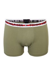 Tommy Hilfiger Underwear Boxer  navy / verde / rosso / bianco