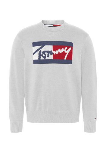 Tommy Jeans Pullover  navy / grigio chiaro / rosso / bianco