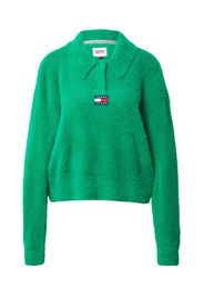 Tommy Jeans Pullover  verde / colori misti