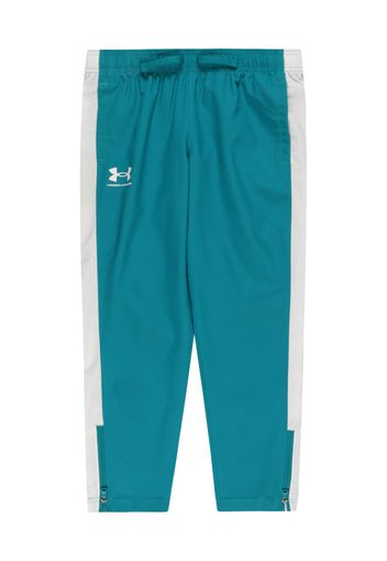 UNDER ARMOUR Pantaloni sportivi  blu / grigio chiaro