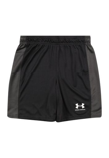 UNDER ARMOUR Pantaloni sportivi 'Challenger'  grigio / nero / bianco