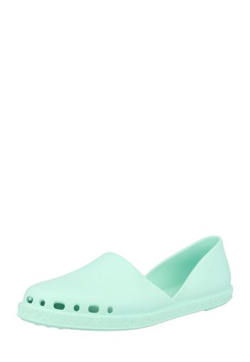 VERBENAS Slipper 'CARMEN AQUA'  acqua