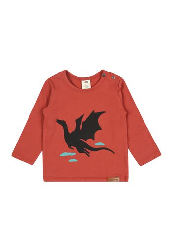 Walkiddy Maglietta  rosso ruggine / nero / blu fumo