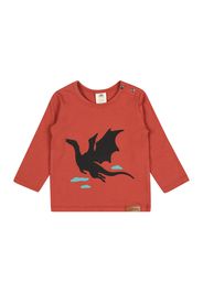 Walkiddy Maglietta  rosso ruggine / nero / blu fumo