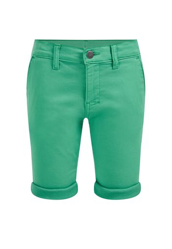 WE Fashion Pantaloni  verde erba