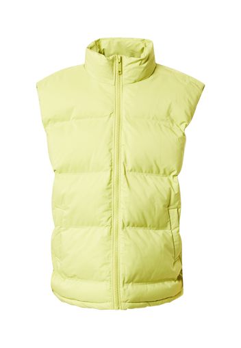 WEEKDAY Gilet  canna