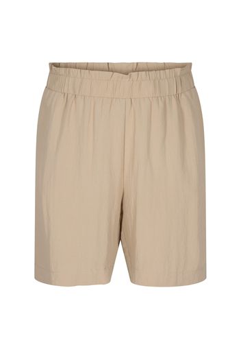 Zizzi Pantaloni  marrone chiaro