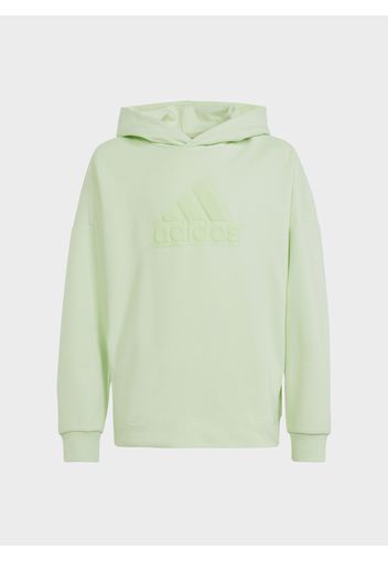 Felpa Icon Hoodie