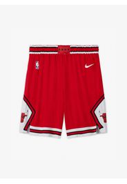 Short Chicago Bulls Icon Edition Swingman