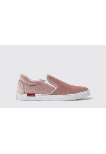 Sneaker Asia Rose Velluto Velluto