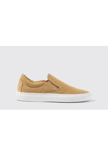 Sneaker Filippa Beige Scamosciata Camoscio