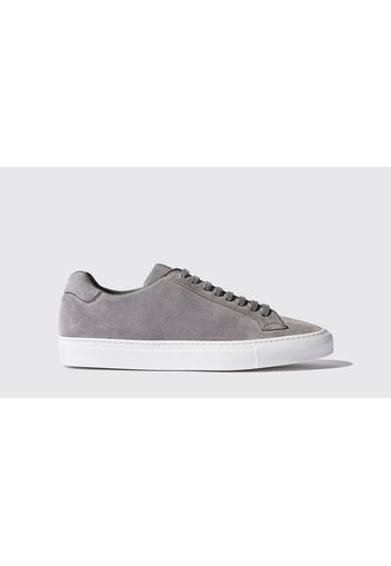 Sneaker Ugo Grigio Scamosciato Camoscio