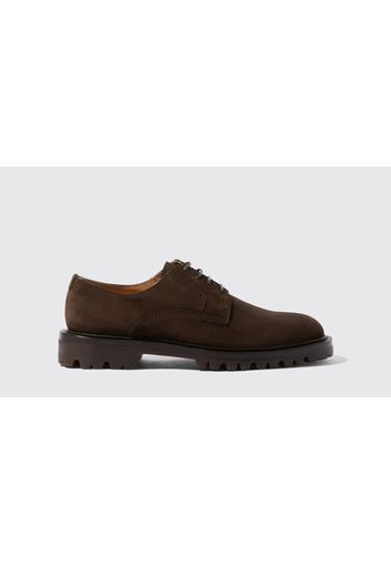 Derbies Wooster III Brown Suede Camoscio