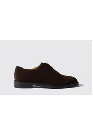 Oxford Jacob Brown Suede Camoscio