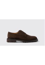 Derbies Wooster III Brown Suede Camoscio