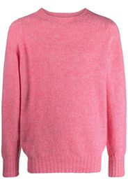 Maglie Rosa