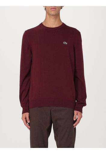 Maglia LACOSTE Uomo colore Bordeaux