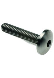 Vite Bombata Tit. G.5 Cl 003 M8 L. 35 Testa D22 Titanio 6al4v Gr.5 T003M8035 Lightech