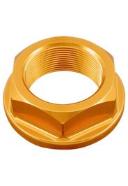 Dado Speciale 25 X 1,00 Ergal Oro D002ORO Lightech