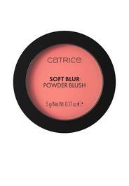 Fard in polvere Soft Blur #040-Pink Positive