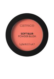 Fard in polvere Soft Blur #020-Coral Cloud
