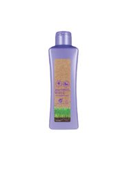 Biokera Grapeology shampoo 300 ml