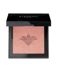 Illuminante Blush #300-Rose Jaipur