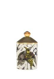 Audubon Candle