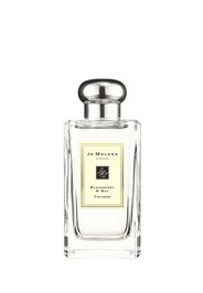 Colonia Blackberry & Bay 100ml