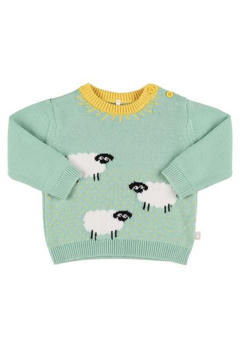 Cotton Knit Sweater W/ Intarsia