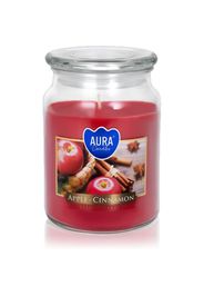 BISPOL Premium Line Apple - Cinnamon candela profumata 500 ml