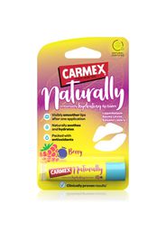Carmex Berry burrocacao idratante in stick 4.25 g