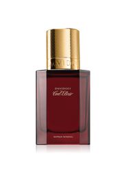 Davidoff Cool Elixir Safran Mineral profumo intense per uomo 30 ml
