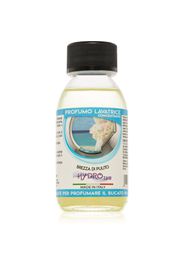 THD Profumo Lavatrice Brezza Di Pulito Fragranza per lavatrice 100 ml
