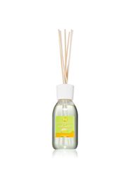THD Unico Camomile & Lemongrass diffusore di aromi con ricarica 200 ml