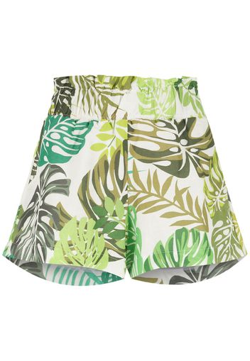 Amir Slama palm leaf print shorts - Green