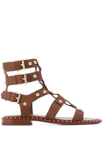 Petru studded gladiator sandals