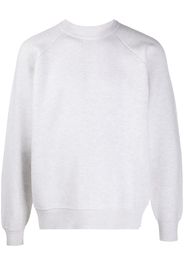 basic sweatshirt