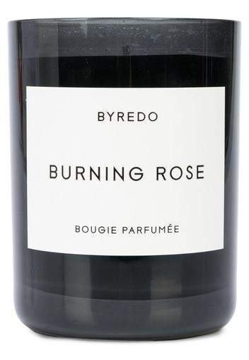 Burning Rose 240 gr candle