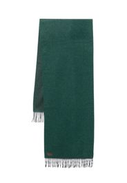 Canali cashmere scarf - Green