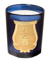 Tadine scented candle (270g)