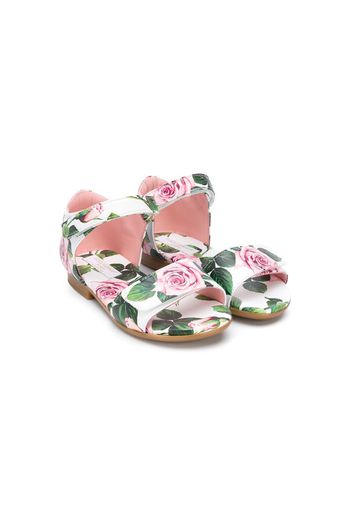 roses print touch strap sandals