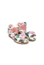 roses print touch strap sandals