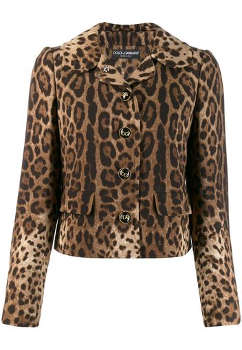 Dolce & Gabbana leopard print jacket - Brown