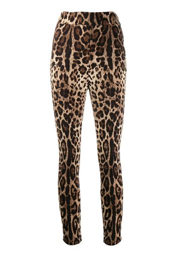 Dolce & Gabbana leopard print cropped trousers - Neutrals