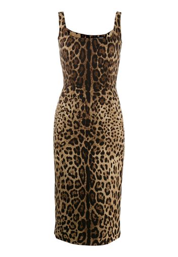 Dolce & Gabbana leopard print fitted dress - Black