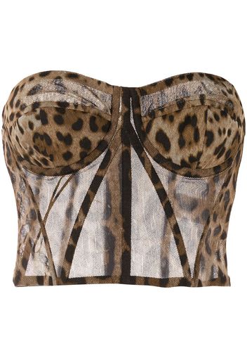 Dolce & Gabbana leopard-print sheer bustier - Brown